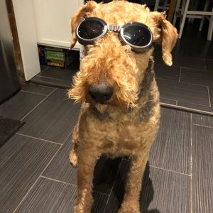 Meet your Posher, Elizabeth